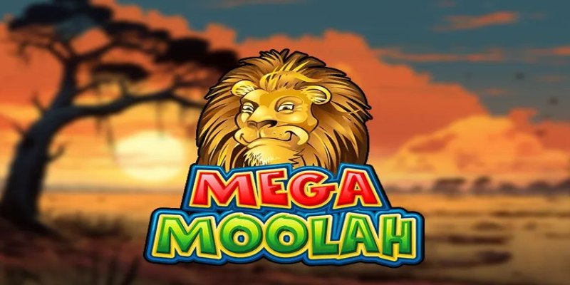 Một số tính năng độc đáo trong Mega Moolah